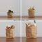 Custom Brown Kraft Paper Bag Wholesale Disposable 80g Small Food Bread Pack Packaging Bag Without Handle