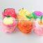 Children fruit vegetable bath wash mesh sponge