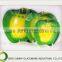 The green peace fruit of fruit series glass plate