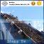 Polyester conveyor belt