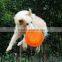 Foldable Silicone Flying Saucer for dogs
