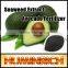 Huminrich Shenyang Soluble Agriculture Seaweed Extract Promote Avocado Growth Fertilizer