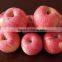 2015 New Year Fresh Fuji Apple biggest exporter chinese fresh fruit red apple Fuji