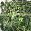IQF Spinach Leaf IQF with good quality for sale