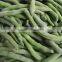 hot sale Frozen IQF green beans with high quality