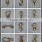 SS304/SS316 spring snap eye hook