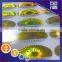 Golden labels scan QR code sequence number hologram sticker
