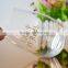 Transparent drinking glass tumbler/whiskey glass cup/stemless wine glass