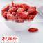 Ningxia Dried Red Fruit gojiberry/goji berry in bulk