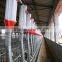 Pig feeding system auger feeding system