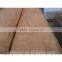 4*8 rotaryt cut natural PLB veneer with real factory in India market