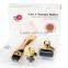 Factory wholesale scar removal derma roller 3 in 1