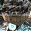 Hardwood charcoal for BBQ