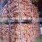 Gansu Fresh Onion