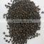 CLEAN BLACK PEPPER 550G/L (skype visimex08)