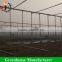 China factory largr galvanized pipe greenhouse for agriculture