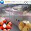 Automatic apricot cutting and pitting machine/fruit pulper machine