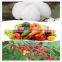 longways beta-cypermethrin products 95%TC widely used to agricultural pests of cotton/vegetable/fruit tree