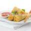 samosa/spring roll/wonton/Ravioli making machine