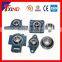 Quality Assurance Bearing 6201z & Bearing Cage for Bearing Buyer