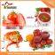 New high efficiency tomato paste processing machine tomato ketchup making machine tomato paste filling machine