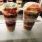 Round lid disposable Ice cream plastic cup