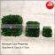 Mini cube boxwood preserved