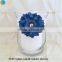 Mercury Free Glass Thermometer Halloween Spider Mason Jar Luminaria Lantern