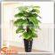 Factory wholesale uv artificial outdoor plants
