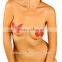 Women's Adhesive Bra Nipple Covers Stickers Body Breasts Stickers Disposable Milk Paste Chest Paste Bra