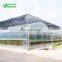 Multi Span PE Plastic Film Hydroponic Systems Greenhouse Agricultural