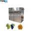 Dried fruit processing equipment/fruit pineapple dryer red chilli dehydration machine