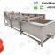 Industrial Tomato Washing Machine