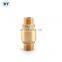 BT5012 вертикальный обратный клапан