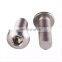 Stainless Steel/ Galvanized Shelf Industrial Use Button Headed Screw Bolts Hammer Bolts Stainless Steel,steel Cartons Case 10pcs