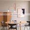 Modern Designer Minimalist Style Metal Pendant Light Curved Indoor Decoration Lamps