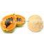 SAMPLE 100% NATURAL CHEAP PRICE PAPAYA POWDER MADE IN VIET NAM