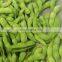 Sinocharm BRC A Approved Edamame IQF Frozen Soybean Frozen Edamame Pods