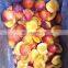 IQF Frozen Plum Peach Halve Freezing Nectarine