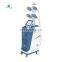 Portable 5 cryo head facial rejuvenation machine 5 in 1 360 degree fat burning slimming cryolipolysis machine treatment for face
