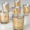 Copper Effect Glass Cloche Candle /hurricane lanterns/ copper candle jars