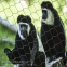 Stainless Steel Wire Rope Construction Decoration Climbing Woven Enclosure Zoo Fence Safety Net Cable Mesh
