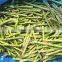 iqf frozen green asparagus