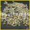 China wholesale white glass point back rhinestone chaton for girl dresses