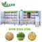 Hot Sale Automatic bean sprout growing machine, Bean Sprouting Machine,Bean Sprout Machine Price