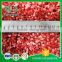 New Crop Good-Tasting Freeze Dried Fruit Freezen Dried Strawberry