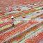 Supply Natural Sun Dried Tomato halves with large quantity