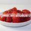 Supply AD Dried sweet dried cherry-tomato with good quality