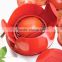 Delicate High Quality Kitchen Tools Tomato Onion Slicer Potato Chopper Vegetables Fruit Cutter Hot Selling