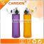 Wholesale 450ml Sport Frosted Plastic Water Bottle